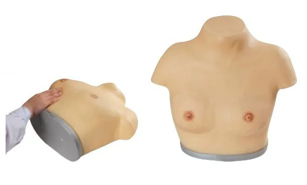 Simulator Female Inspection and Palpation Breast Self Examination Model for Woman Breast Health Screening CE/ISO