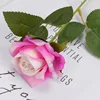 bianco rosa