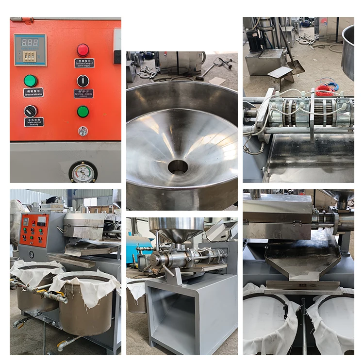 Stainless Steel 300kg / h Automatic Copra Oil Press Machine Soybean Sunflower Peanut Oil Machine Maker