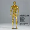 Gold-twill head-silver base