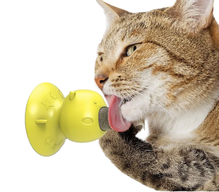 Detachable Edible Kitty Teeth Cleaning Dental Catnip Wall Ball Pet Cat Toys Buy Catnip Toys