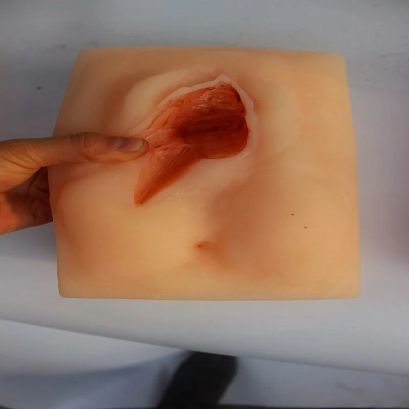 Advanced Vulva Suture Exercise Model Vagina Suturing Practise Model