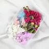 colorido-9