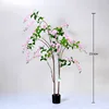 Pink weeping jasmine bonsai, 210cm