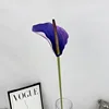 Violet foncé