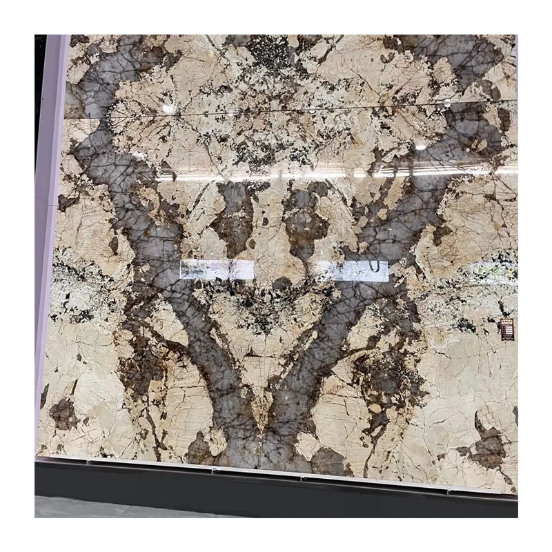 Luxury Brazil Natural Patagonia Quartzite Slab for Hotel Wall Decor Best Quality Yellow Quartzite Slab Countertop