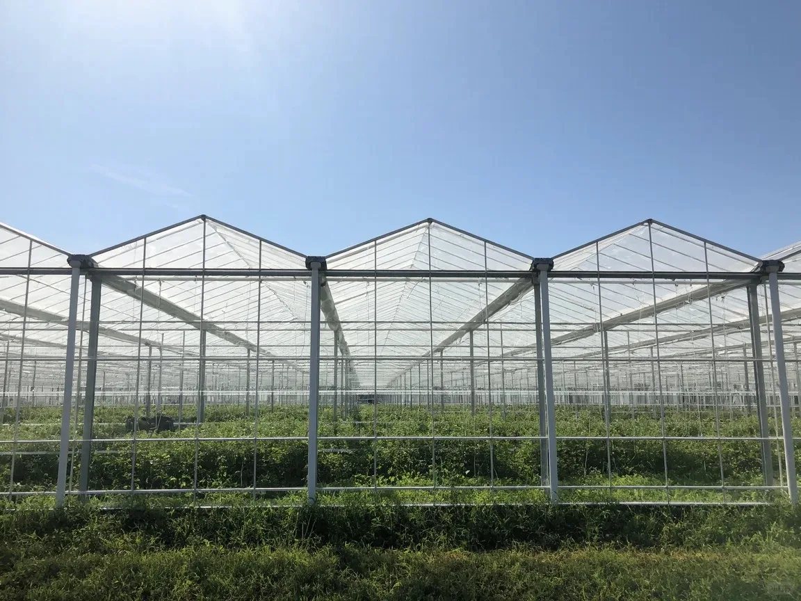 H14d38d36d13f40a2b1e459493ac5db49c