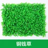 Pennywort