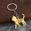 Golden cat
