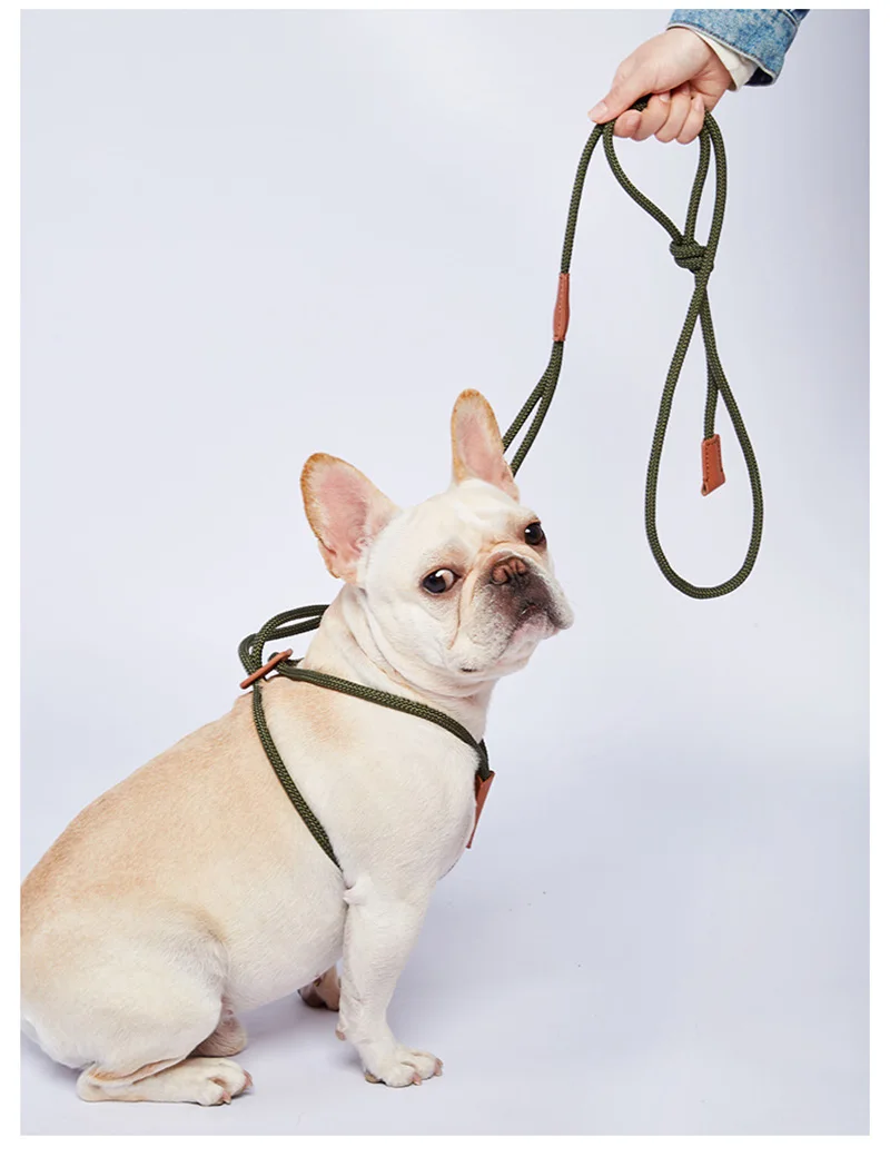 Laxney Trending New Dog Products 2023 Adjustable No Pull Easy Walk Dog