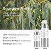 Eucalyptus (Australia)