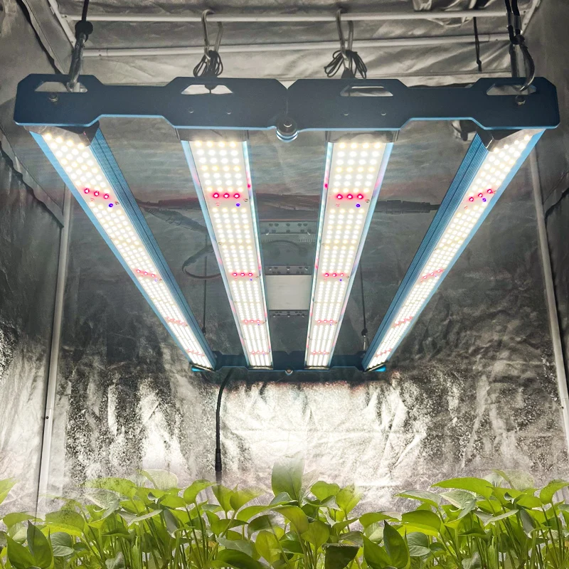 grow tent garden zazzy 4x4 Tent, 48