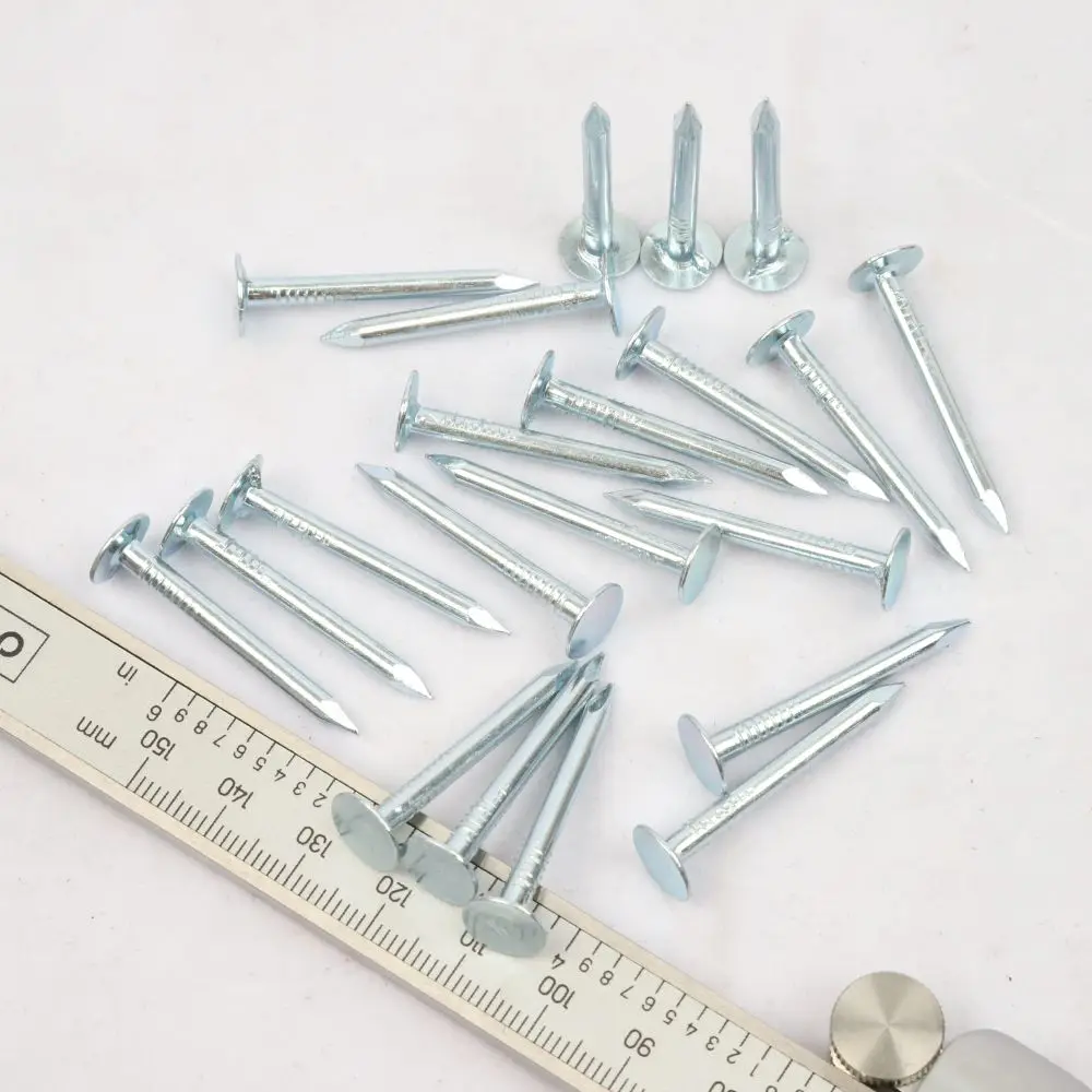 High Quality Galvanized Large Flat Head Iron Metal Wire Nails Ceiling