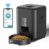 WiFi Model black