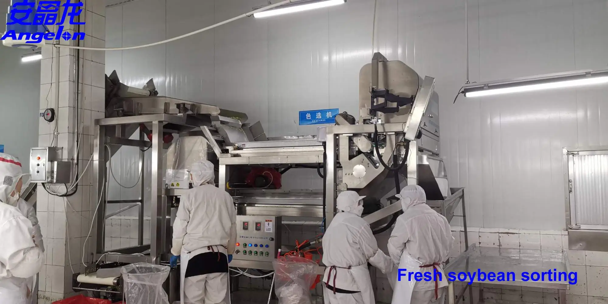 Coffee Beans Sorter Color Sorting Machine