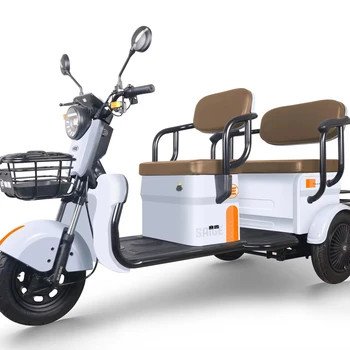 EEC Electric Leisure Tricycle Passenger Model V6