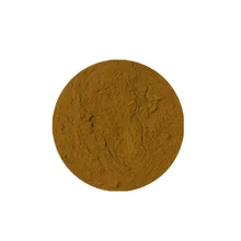 Fast Delivery Mulberry Leaf Extract Powder CAS 19130-96-2 Wholesale Low Price