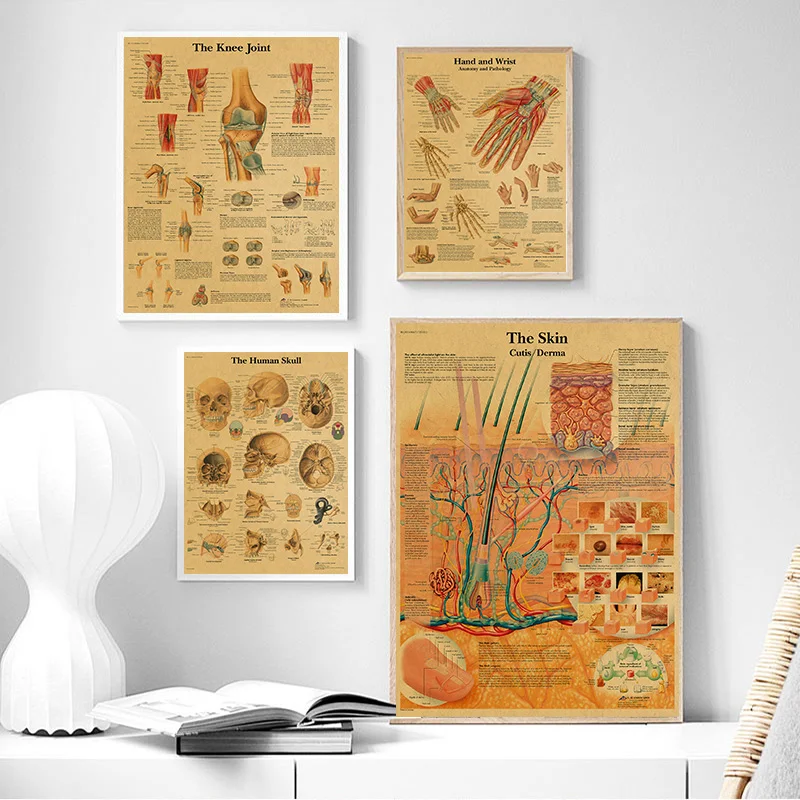 Spinal Column Chart Skeleton Posters Human Anatomy Knee Joint Foot Canvas Painting Medical Wall Art Prints for Room Home Decor