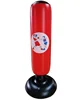 punching bag and gloves