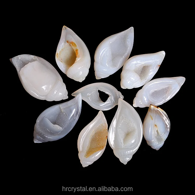 Healing Crystal Conch Shell Druzy Agate Geode Crystal Conch Shell Carving for Decoration