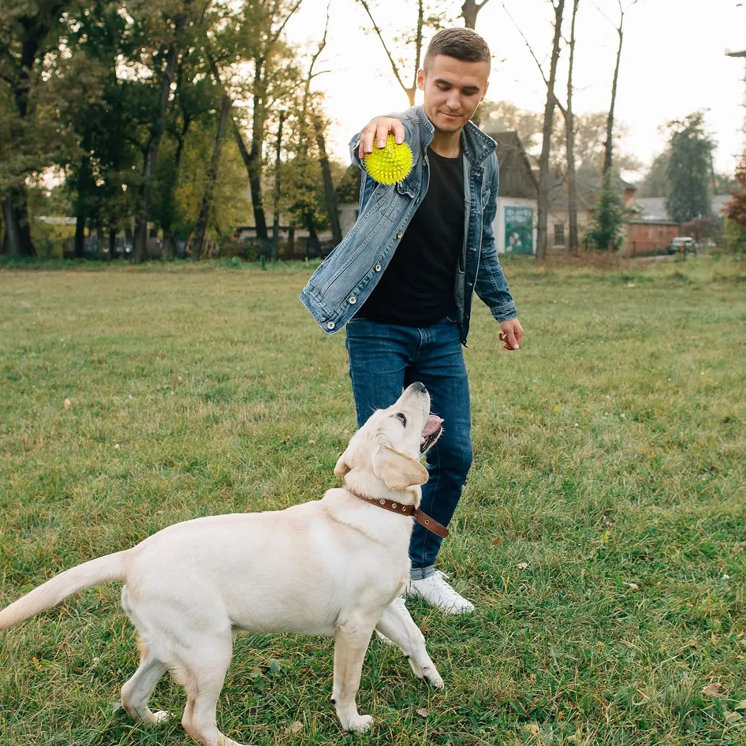 Squeaky Fetch Spike Balls TPR Toys for Pet Small Dogs Puppy Rubber Bright Color Chew Teething Toys