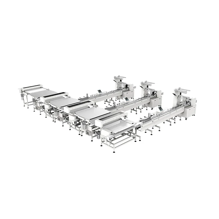 Pizza Automation Turnkey Project Packing Line
