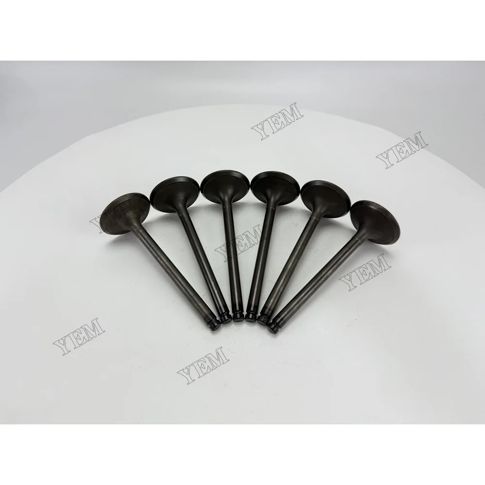 Intake Valve for Nissan NE6 Industrial Engine Parts 3