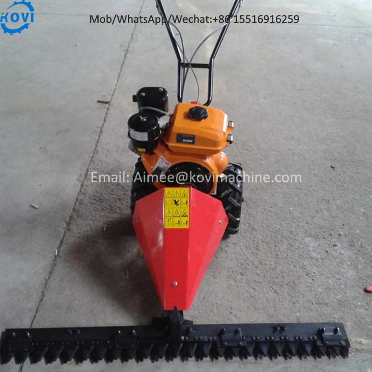 Handheld Push Lawn Mower Machine Grass Cutting Machine Grass Cutter Machine Gasoline Lawn Mower