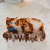 Pajarita azul - Gato turtledove