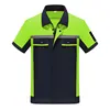 4D-Negro + Verde