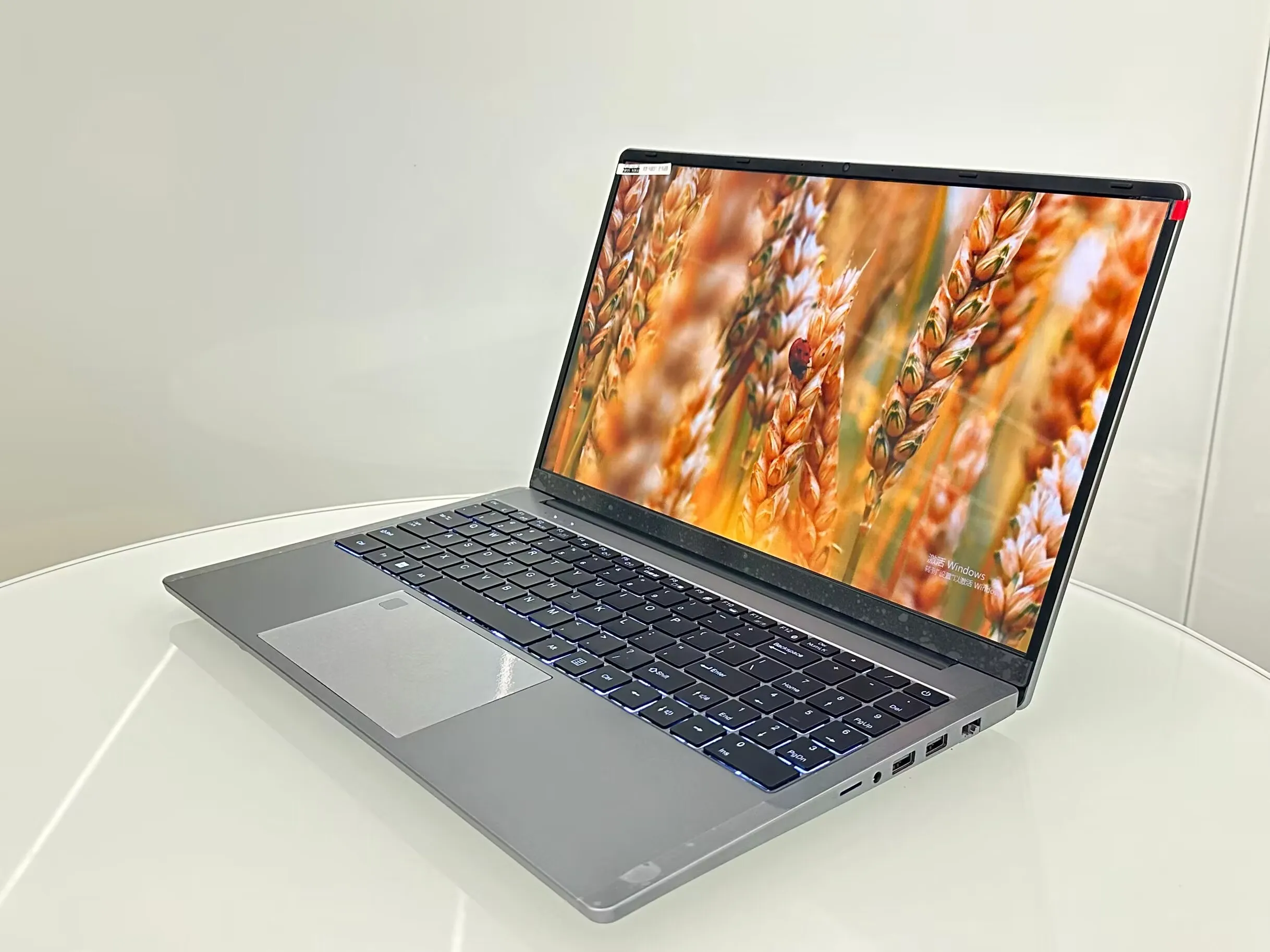 halobook BTC501 15.6インチ ノートPC グレー 15.6インチ ノートパソコン : 1080P 15.6 スクリーン 0 ノーブランド