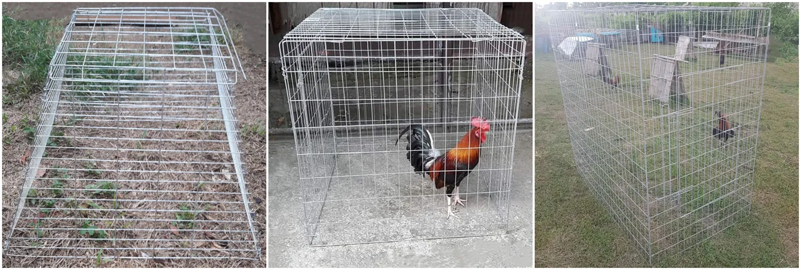 Pyramidal Chicken Coop Breeding Cage - Buy Galvanized Drop Pens,Scratch Pen  For Gamefowl,Gamefowl Fly Pens Cages Product on Alibaba.com