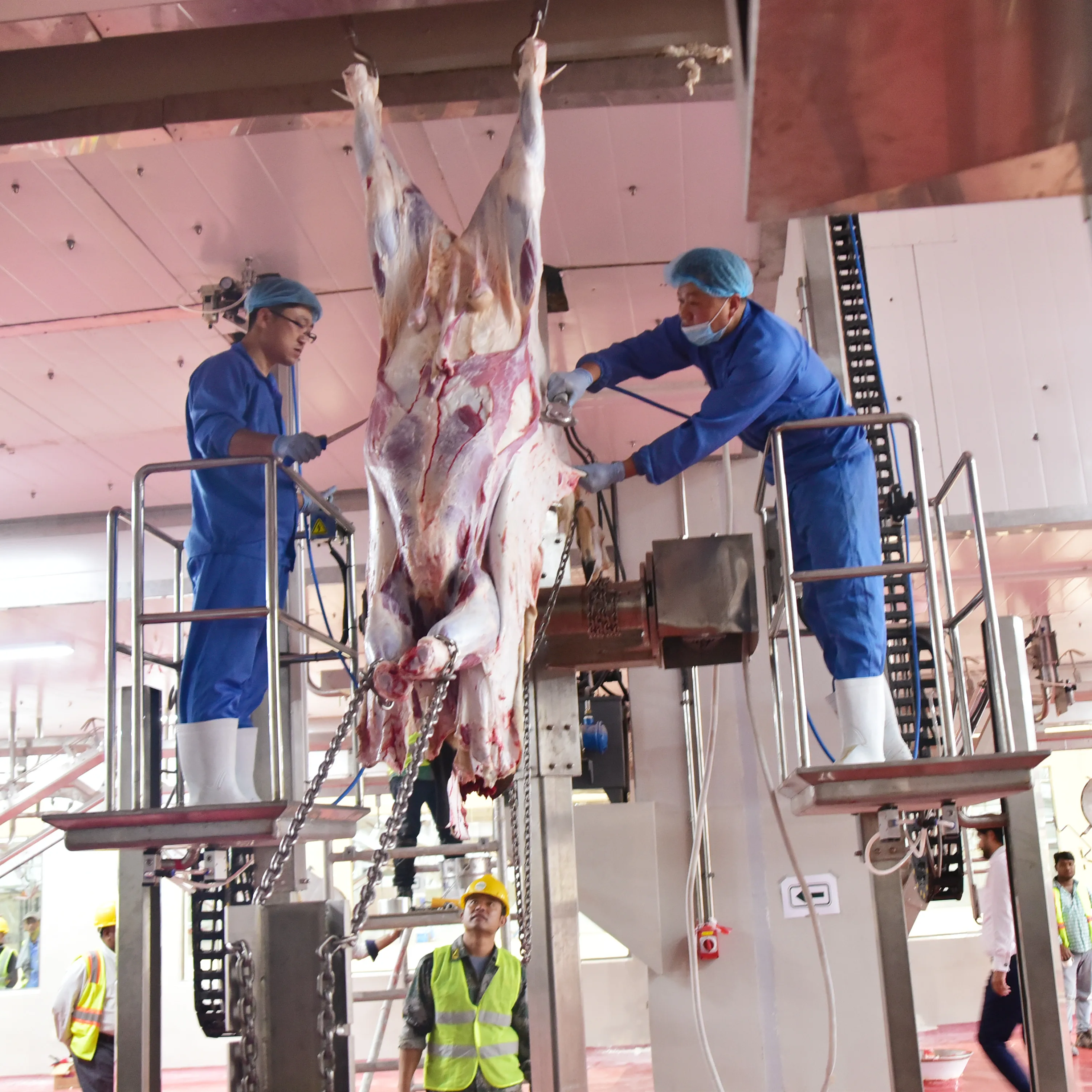 Easy-to-operate open chest saw for cattle slaughterhouses