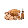 Strong aromatic, camphoraceous aroma