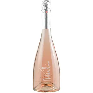 Italian Brut Rosé Sparkling Wine 750ml for Appetizers and Sushi 6 Bottles Per Box Sardinia Origin