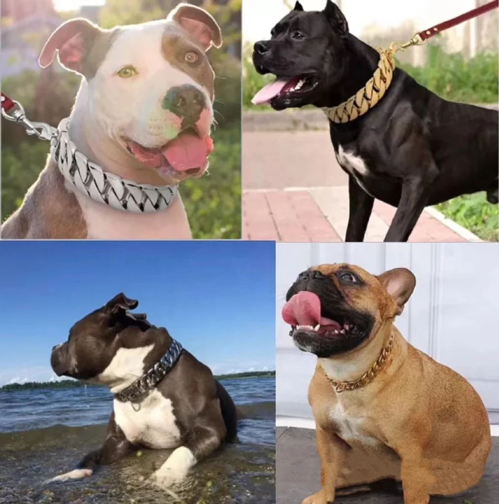 Big Gold Chain Leash for Large Dogs Heavy Duty Stylish