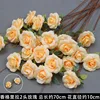 Champagne-colored Fendera 2-head rose