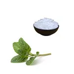 Factory Price Natural Mint Flavor Powder/Peppermint Extract/white Mint Powder