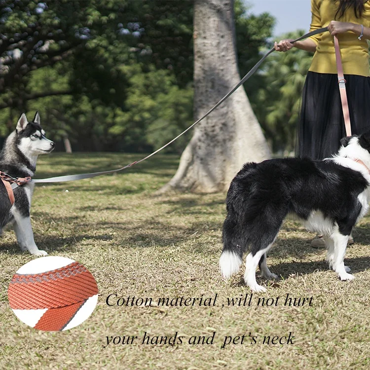 dog leash with two hooks