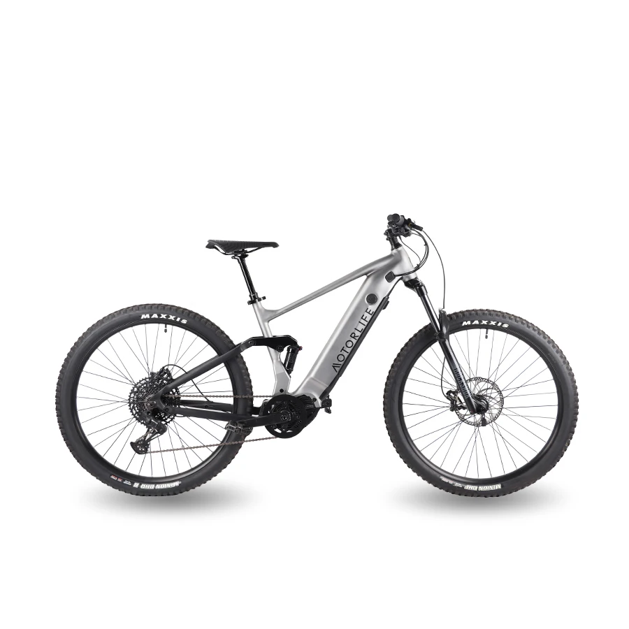 2022 Full Suspension Electric Bike Customize Electric Bicycle Mid Version 29" Mtb Ebike 1000w 17
