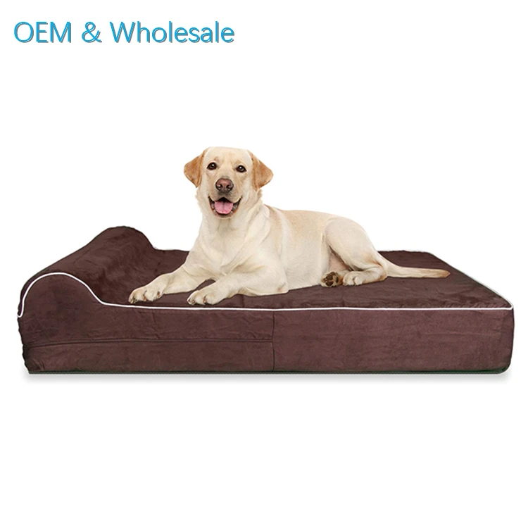 Can You Wash Dog Bed Foam