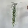 deep green weeping willow