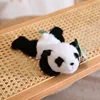color panda