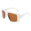 C6 White BROWN LENS