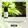 Basil