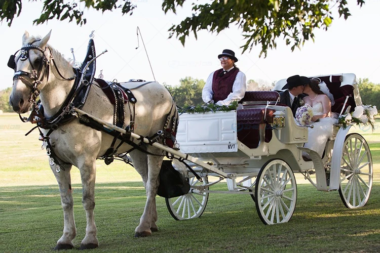 Used Cinderella Pumpkin Princess Wedding Carriage Horse Drawn Carriage Royal Horse Trailer for Sale