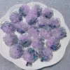 Petit jasmin diamètre 30mm