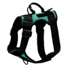 Teal Green