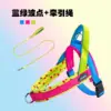 Set: Blue-Green Polka Dots