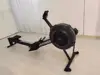 Negro